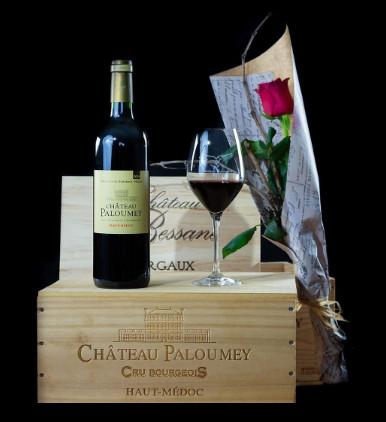 Rượu vang Bordeaux Château Paloumey