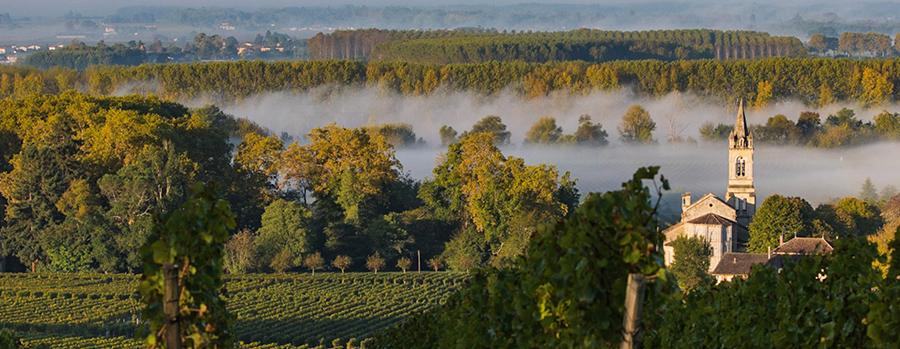 Vùng đất rượu vang: Bordeaux