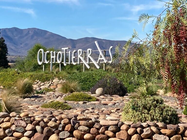 Nhà sản xuất Ochotierras Chile