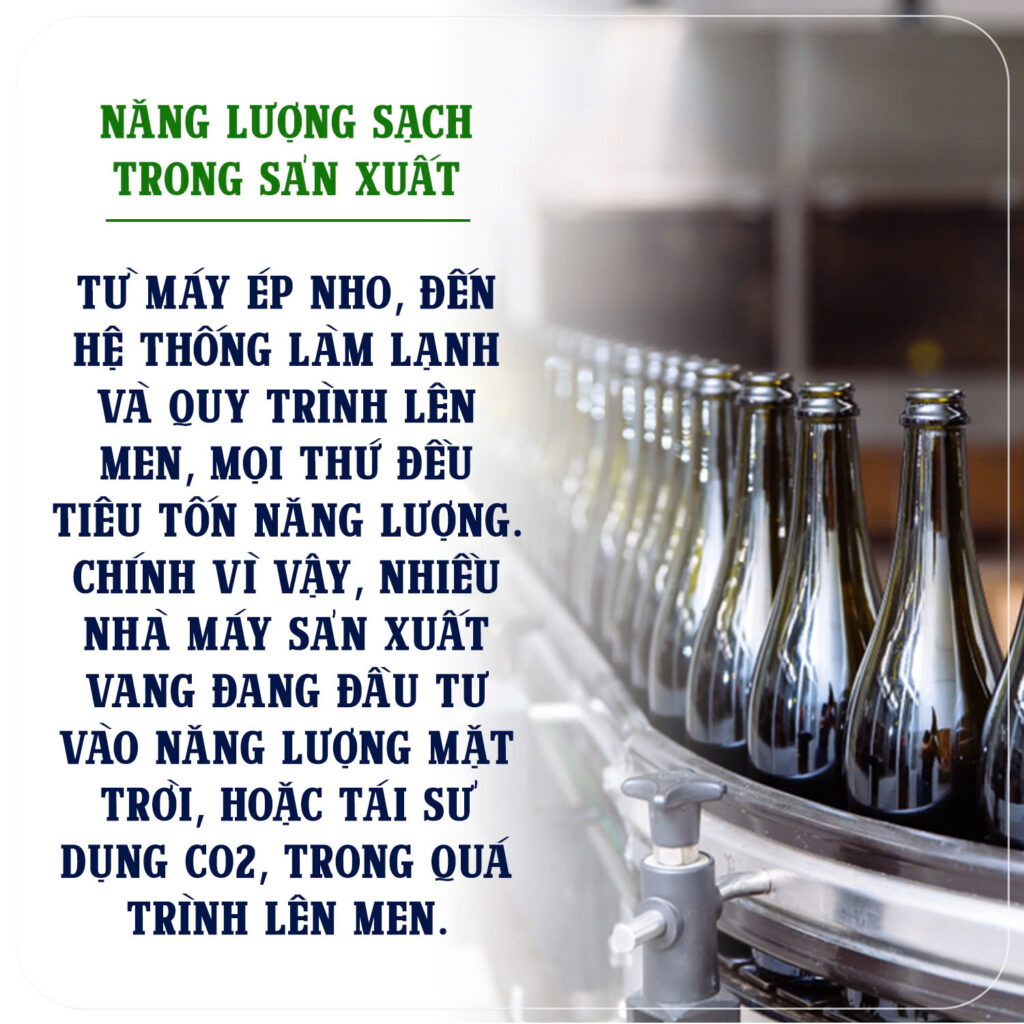 Sử dụng vỏ chai thủy tinh nhẹ