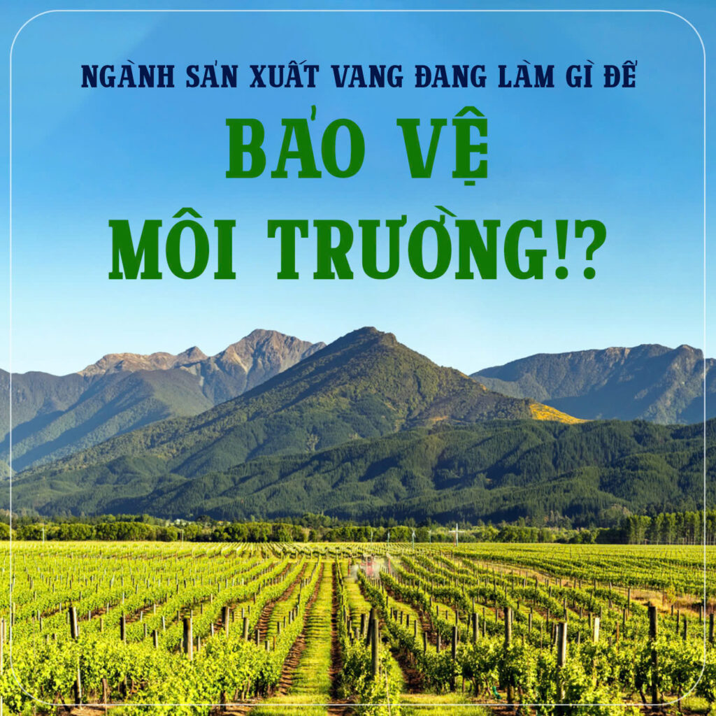 Xanh hóa trong sản xuất vang