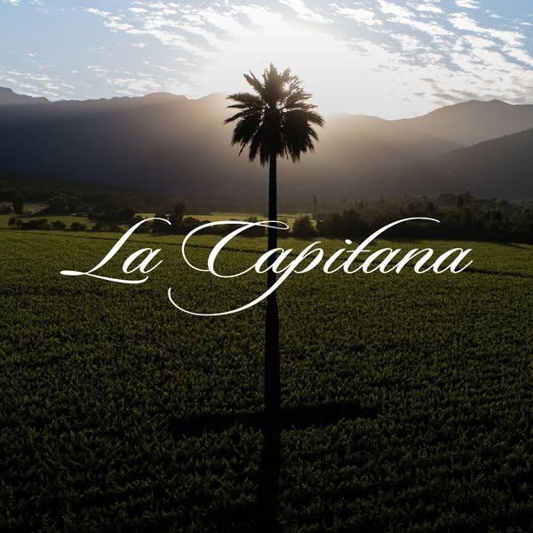 Chọn rượu vang cho ngày cuối tuần – Cặp La Capitana là chuẩn bài