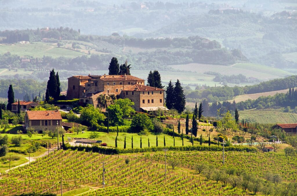 Giống nho Sangiovese – đặc trưng vùng Tuscany nước Ý