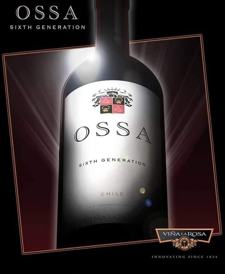 Icon Wines - cao cấp nhất trong phân loại rượu vang Chile