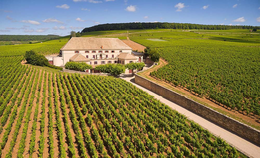 Vùng rượu vang trứ danh Bordeaux