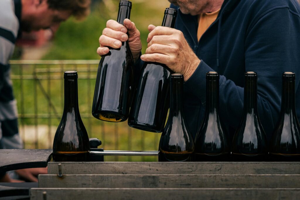Phong cách rượu vang chính của Thung lũng Colchagua
