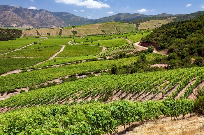 Thung lũng Colchagua ở đâu?