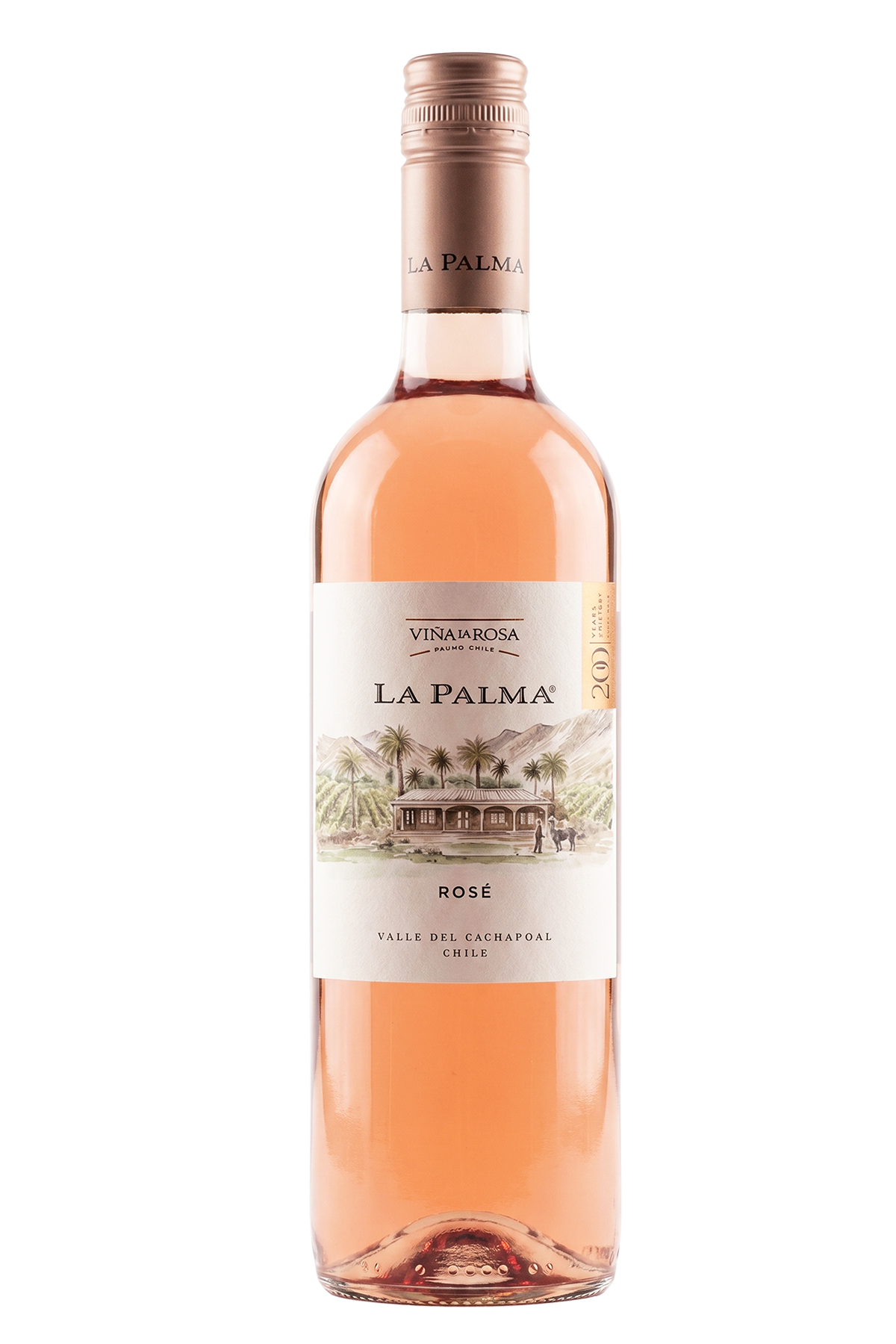 LA PALMA ROSE